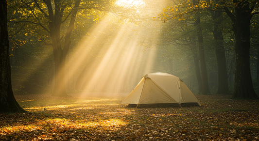Essential Gear for a Cozy and Safe Fall Camping Experience