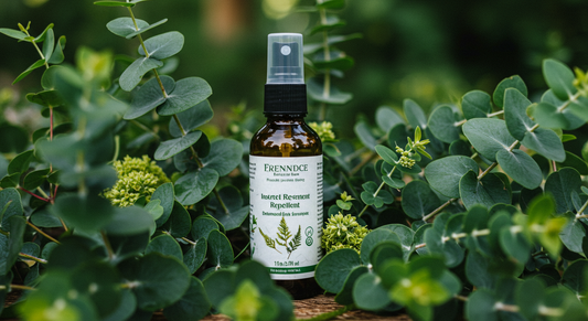 The Complete Guide to Choosing the Right Insect Repellent for Outdoor Adventures