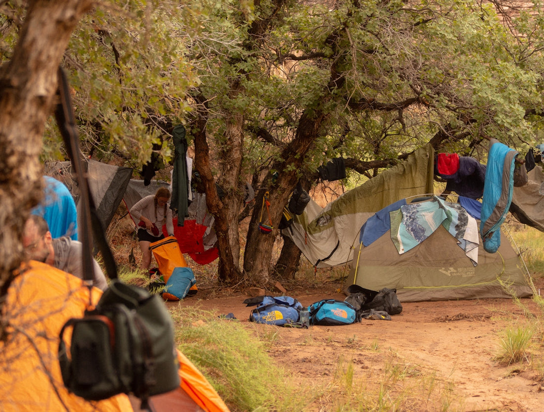 A group of people camping in the woods