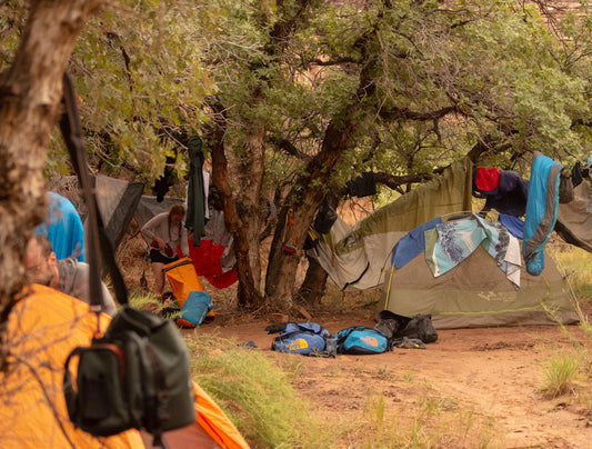 A group of people camping in the woods