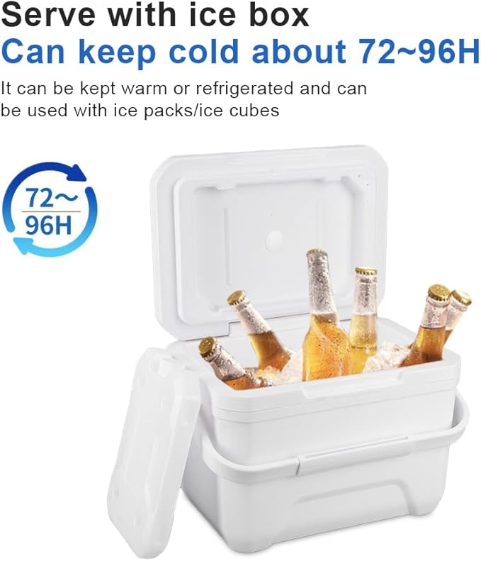 Small Cooler for Camping, Portable Leakproof Outdoor Cooler Box, 3/5/6/8 Quart Hard Ice Retention Insulated Lunch Box for Camping Fishing Beach Picnics Grill