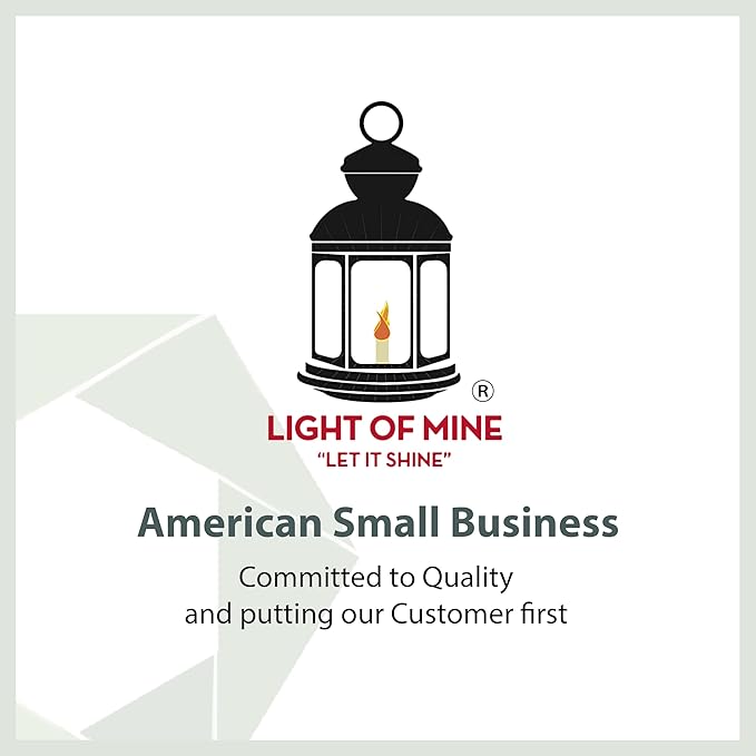 Light of Mine - Dietz #76 Original Black with Gold Trim Oil Lantern with 1/2" Replacement Wick Strips (Black with Gold Trim)