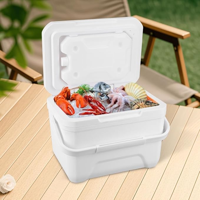 Small Cooler for Camping, Portable Leakproof Outdoor Cooler Box, 3/5/6/8 Quart Hard Ice Retention Insulated Lunch Box for Camping Fishing Beach Picnics Grill