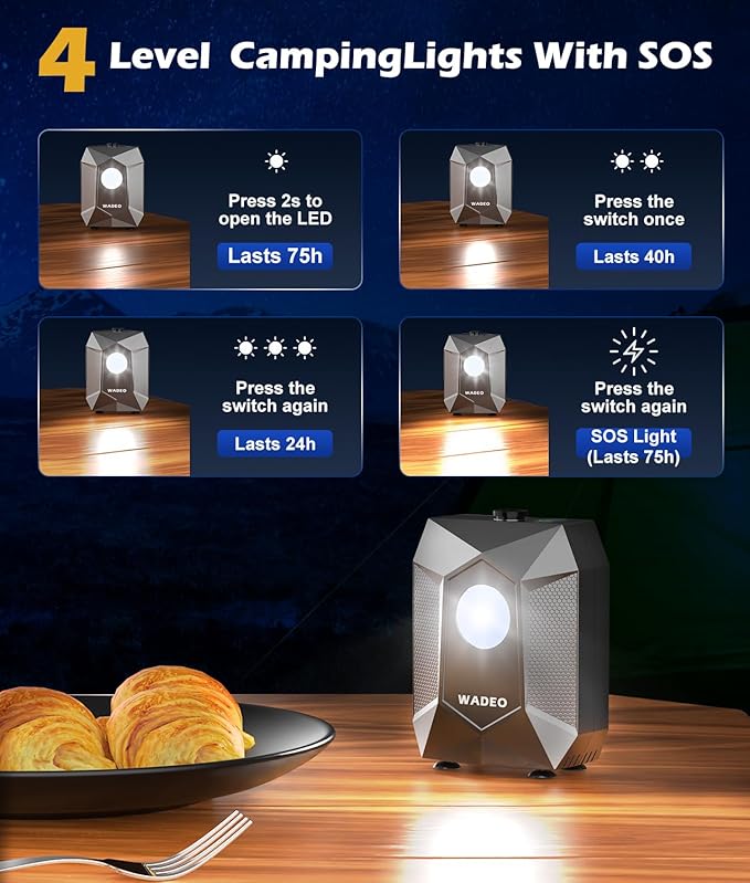WADEO Portable Shower, 6000mAh Rechargeable Camping Shower Pump with Camping Light, 5 Spray Modes, Fahrenheit Display, IPX8 Waterproof, Ideal for Outdoor Camping, Travel, Car Washing, Pet Bathing