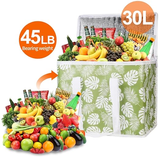Bodaon 1-Pack Insulated Reusable Grocery Shopping Bags, X-Large Picnic Cooler Bag with Zipper Zippered Top Cold, Green-Leaf