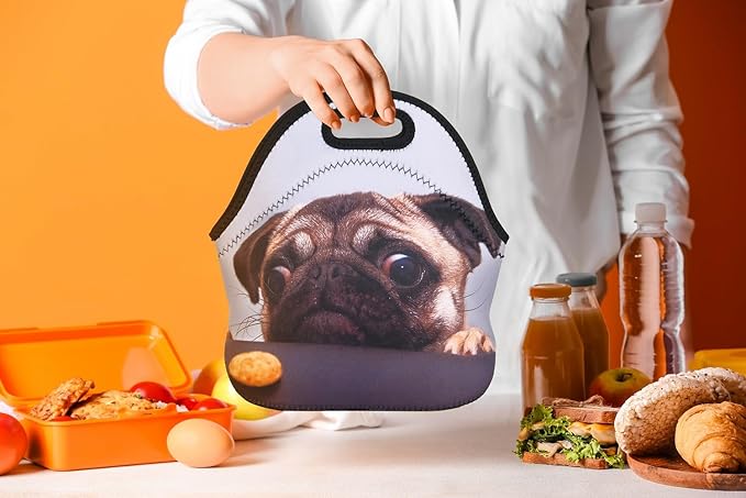 Violet Mist Cute Neoprene Lunch Bag Women Insulated Reusable Lunch Box Thick Pug lunchboxes Bags Thermal Dog Lunchbags Lightweight Food Handbags Container Picnic Outdoor Thanksgiving Christmas Gifts