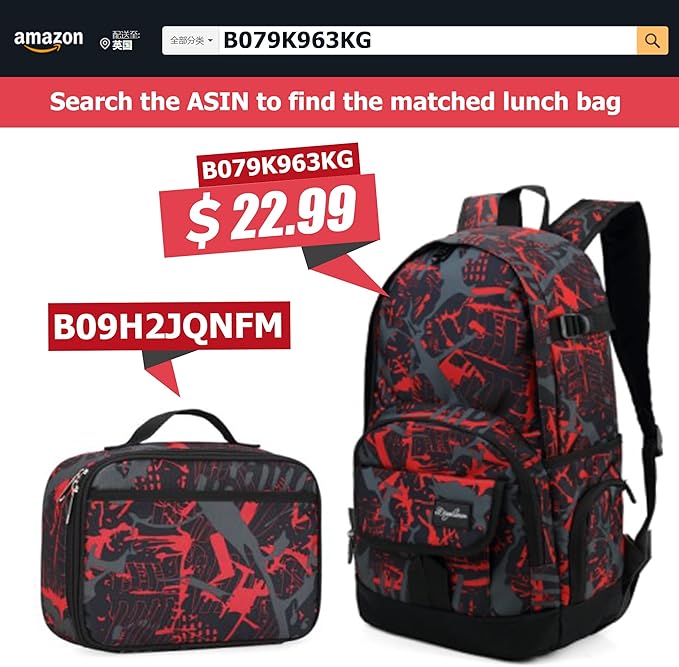 rickyh style Lunch Box with Padded Liner, Spacious Insulated Lunch Bag Durable Thermal Lunch Cooler Pack with Strap for Men Women Boys Girls Adults School Sports Beach Picnic Work Camp,2 Pocket