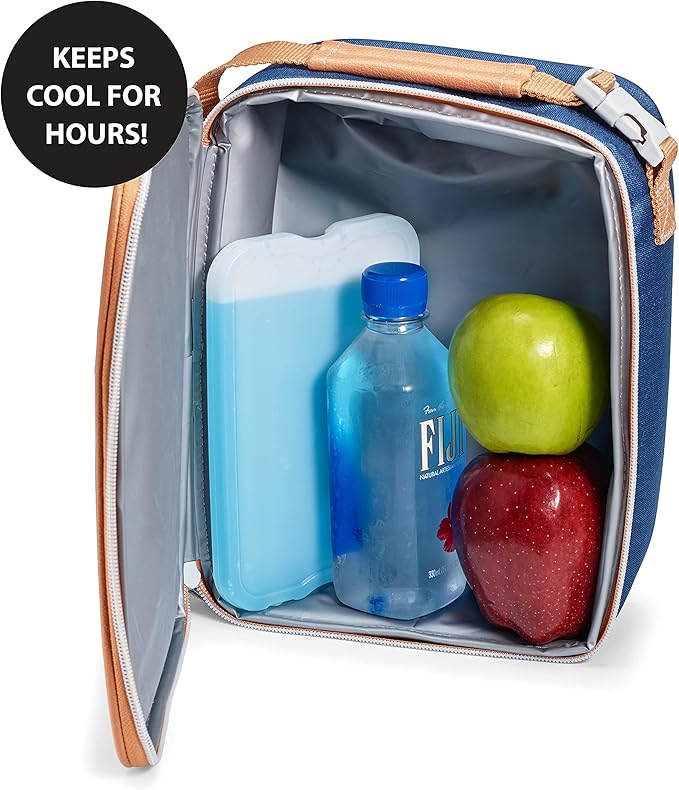 Cool Coolers by Fit & Fresh 4 Pack XL Slim Ice Packs, Quick Freeze Space Saving Reusable Ice Packs for Lunch Boxes or Coolers, Blue, 239ICE, 4 count (Pack of 1)