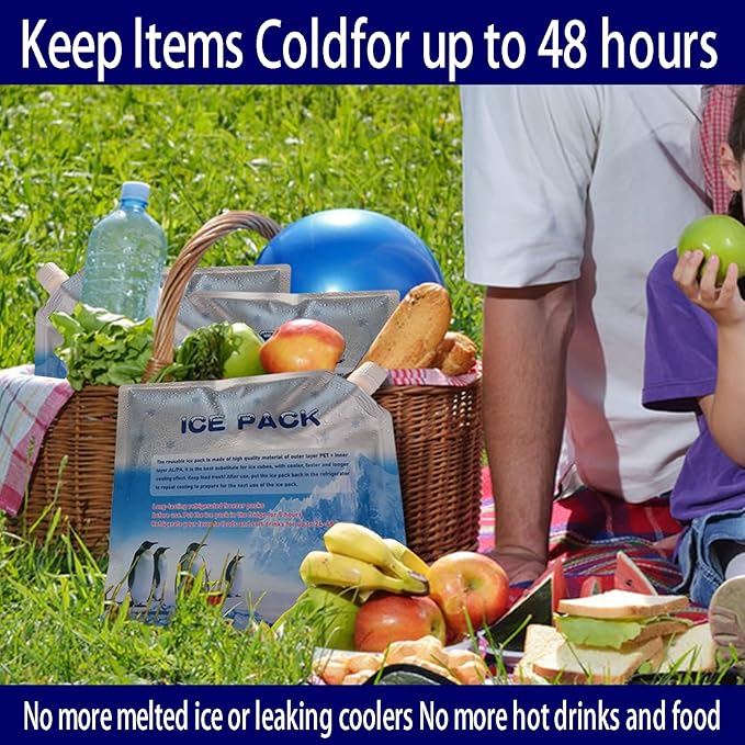 Reusable ice Packs for Coolers, Long Lasting Cooler ice Pack, 24 to 48 Hours of Cold Gel Ice Pack.Lunch Bag CoolerIt can Hold 1400-1600ml of (Blue 6 Piece Set)