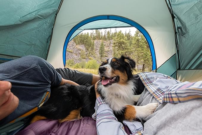Coleman Skydome Tent with 5 Minute Setup, 2/4/6/8 Person Weatherproof Tent with Rainfly & Carry Bag, 20% More Headroom than Traditional Canopies