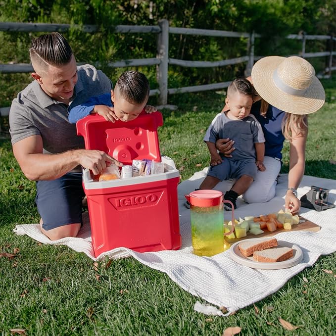 Igloo Cooler with Wheels, Profile II 28 Qt Hard Sided Ice Chest - Portable Insulated Container with Leak-Proof Design for Outdoor Use