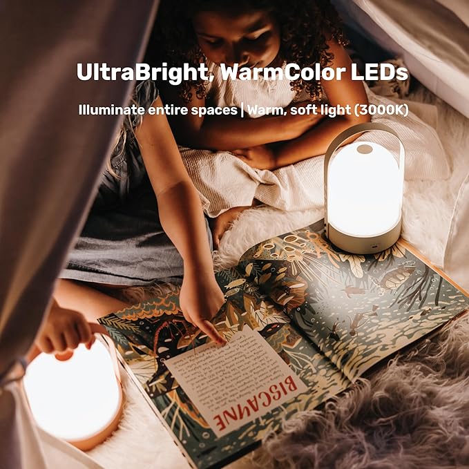 BASK KIN 3.0 Portable Cordless Lantern Table Lamp | USB Rechargeable | Powerful Long-Lasting 4000mAh Battery | Kids Bedroom | Easy 3-Step Touch Dimmable | UltraBright LED (Midnight Black)