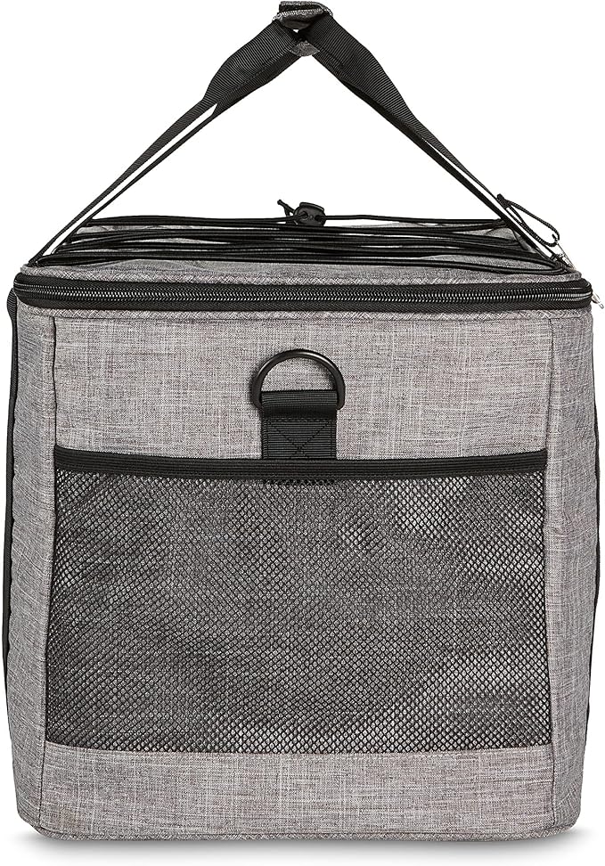 Amazon Basics Soft Insulated Cooler