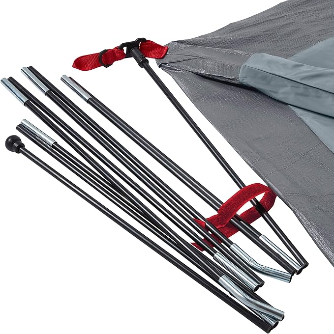 Coleman Skydome Tent with 5 Minute Setup, 2/4/6/8-Person Weatherproof Tent with Rainfly & Carry Bag, 20% More Headroom Than Traditional Canopies