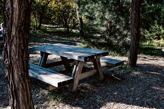 Wooden picnic table in a forest setting