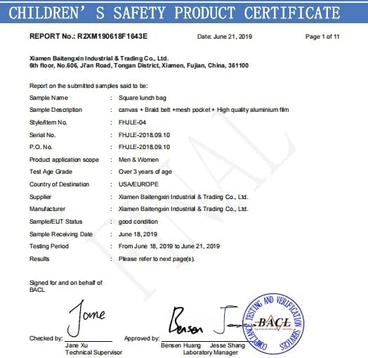 Leopard Print Kids Lunch Bag Rainbow Leopard Skin Insulated Lunch Box Mini Cooler Back to School Thermal Meal Tote Kit Bento Tote Bags Thermal Lunchbox for Boys Girls