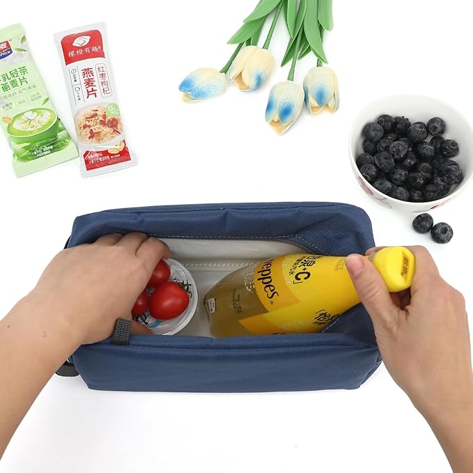 Snack Bags Mini Cooler lunch Bag Freezer Insulated Lunch Box Pouch with Buckle for Adults Work Travel,Cyan