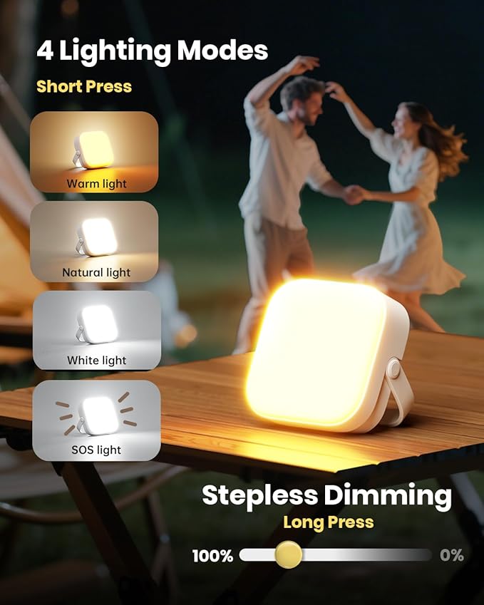 Eventek 2Packs LED Camping Lantern 4000LM, 10000mAh Rechargeable Camping Lights Up to 144 Hours & 4 Light Modes, Portable IP65 Waterproof Magnetic Camping Essentials for Tent, Power Outages Emergency