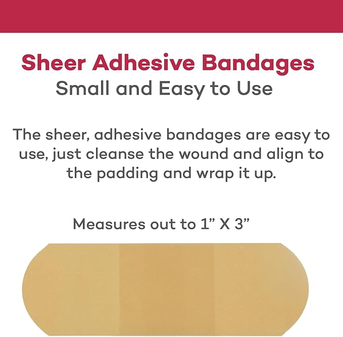 Dealmed Sheer Plastic Flexible Adhesive Bandages – 100 Count (3 Pack) Bandages with Non-Stick Pad, Latex Free, Wound Care for First Aid Kit, 1" x 3"
