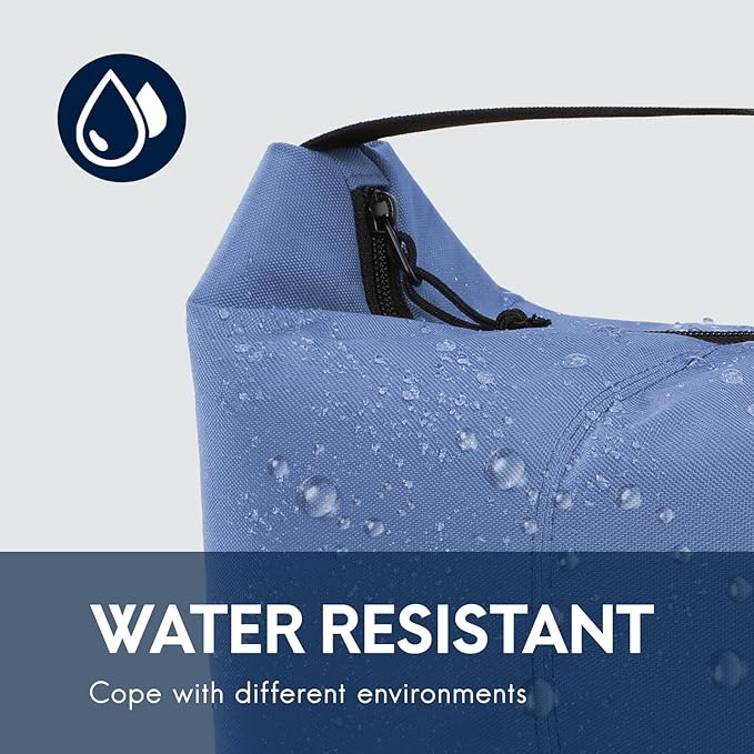 Haimont Small Lunch Cooler Bags for Work, Insulated Cooler Tote Lunchbag with Adjustable Buckle, Leakproof Soft Lunchbox for Outdoor, Daytrip, Camping, Blue