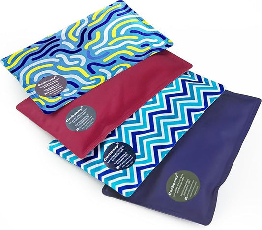 Cerbonny Ice Packs For Lunch Boxes,Ice Packs Reusable for Lunch Box,Cooler Ice Packs For Lunch Bag,Freezer Packs Fit For Beach Bags,Lunch Box Ice Packs,Fit for 3+,Pack of 4