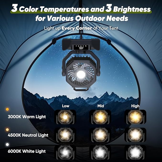 Portable Rechargeable Fan, 20000mAh Battery Powered Fan with LED Light, Camping Fans for Tent Remote Control, 5 Speed & Hook, 10-inch Outdoor Cordless Fans for Travel,Home, Beach, Power Outage - Black
