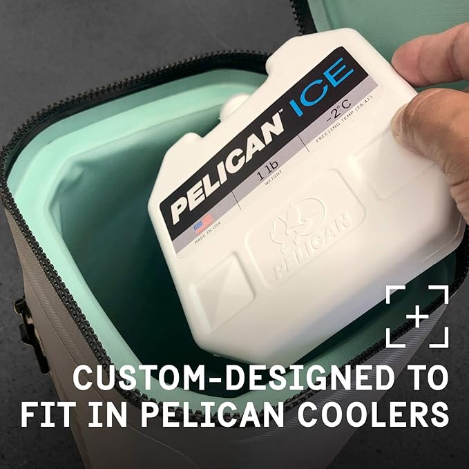 Pelican Ice