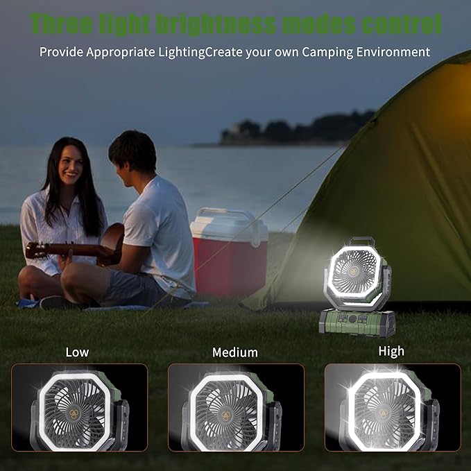 Rechargeable Operated Camping Battery Powered Fan with Hook&Bright LED Light,Remote Control Timer Auto Oscillation Cordless Outdoor Fan for Power Outage,Picnic,Barbecue,Fishing,Travel,Jobsite,Home