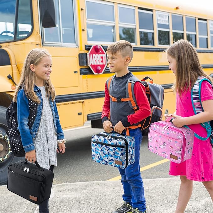 Lifewit Freezable Lunch Box, Insulated Reusable Lunch Bag with 2 Ice Packs, Mini Cooler Snack Bag for Bento Box for Salad, Sandwich, Snacks fo Men Women for Work, Black 5L