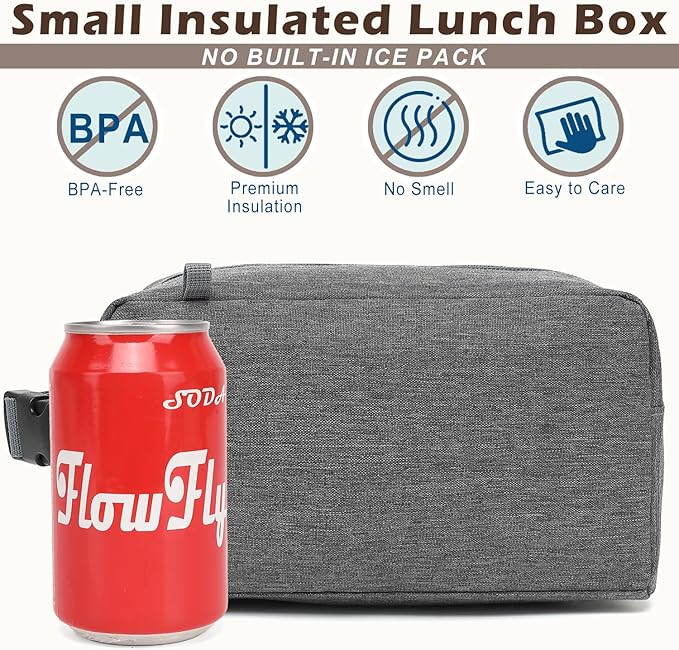FlowFly Small Insulated Lunch box Portable Soft Bag Mini Cooler Thermal Meal Tote Kit with Buckle for Work, GreyWithBuckle