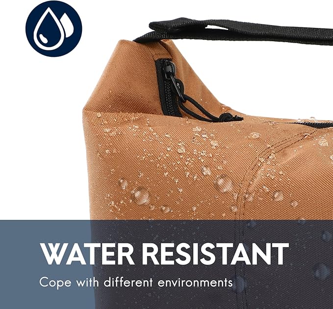 Haimont Small Lunch Cooler Bags for Work, Insulated Cooler Tote Lunchbag with Adjustable Buckle, Leakproof Soft Lunchbox for Outdoor, Daytrip, Camping, Brown