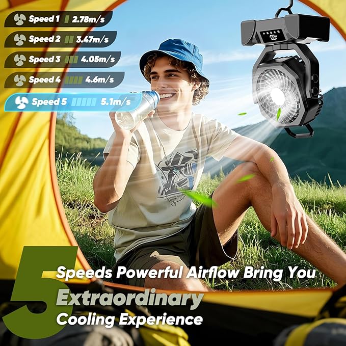 Portable Rechargeable Fan, 20000mAh Battery Powered Fan with LED Light, Camping Fans for Tent Remote Control, 5 Speed & Hook, 10-inch Outdoor Cordless Fans for Travel,Home, Beach, Power Outage - Black