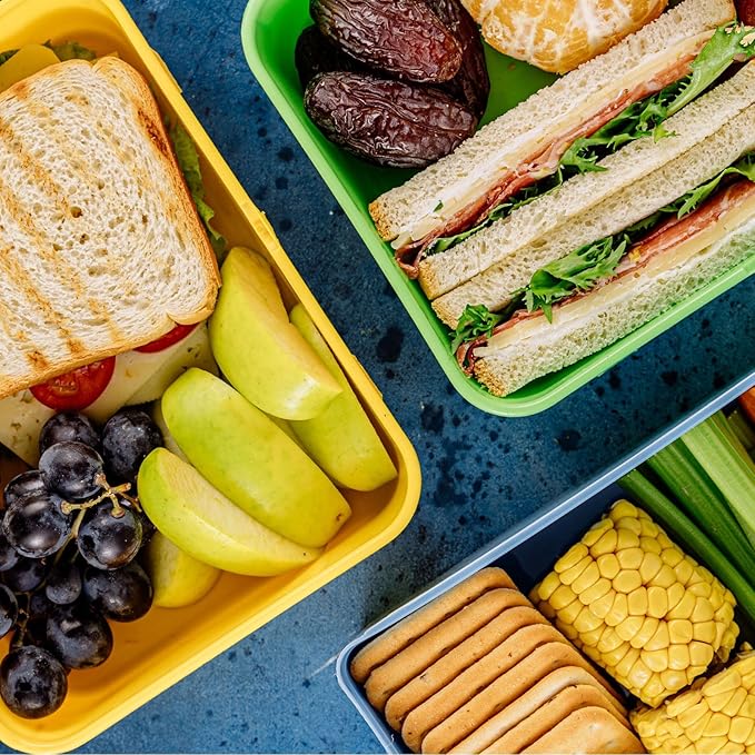 PATIKIL 11"x8"x3" Insulated Lunch Bags, Portable Food Containers Bag Flat Bento Bags Reusable Thermal Lunch Pail for Men and Women, Grey