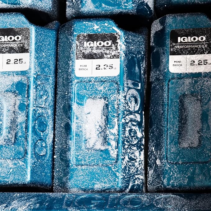 Performance Ice XL Block